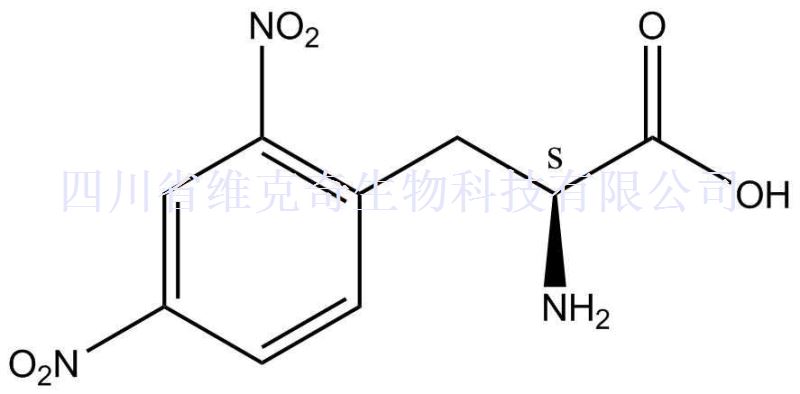 2,4-Dinitro-L-phenylalanine