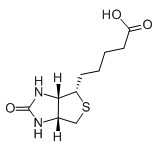 维生素H/D-生物素/辅酶,Vitamin H