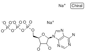 三磷酸腺苷二钠/ATP/腺苷-5'-三磷酸二钠盐,Adenosine 5'-triphosphate disodium salt