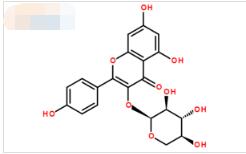 山柰酚-3-O-α-L-吡喃阿拉伯糖苷,Juglalin