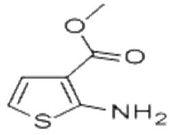 2-氨基噻吩-3-甲酸甲酯