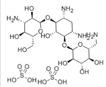 双硫酸卡那霉素,KANAMYCIN ACID SULFATE