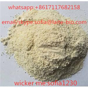 High quality items 99.0% BMK powder / Benzeneacetic BMK/PMK  sofia(at)laite-bio.com