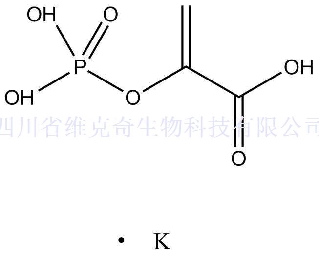 磷酸烯醇式丙酮酸,Phosphoenolpyruvate (PEP)