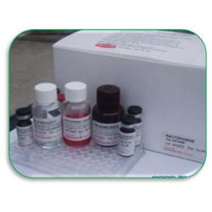 猪胰岛素ELISA试剂盒