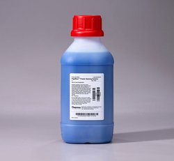 Thermo Scientific PageBlue Protein Staining Solutio