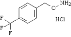 4-三氟甲基苄氧胺盐酸盐,4-Trifluoromethylbenzyloxyamine hydrochloride
