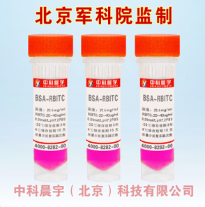 异硫氰酸罗丹明荧光素标记牛血清白蛋白,BSA-RBITC