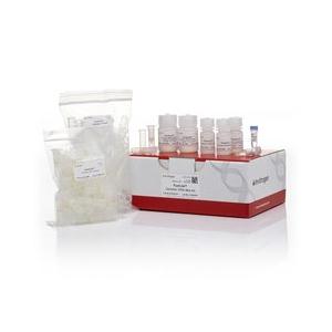 PureLink Genomic DNA Mini Kit