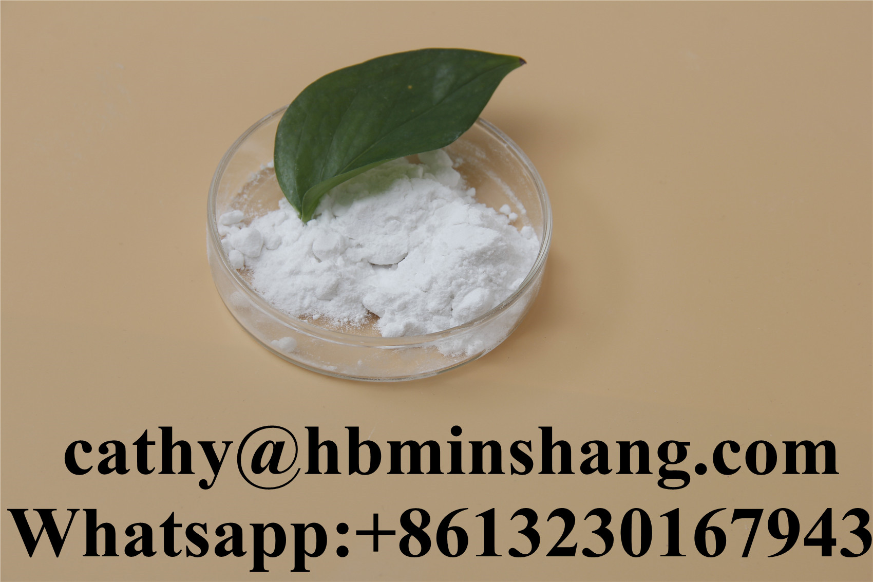 盐酸甲胺,Methylamine hydrochloride