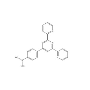 4'-(4-硼酸基苯基)-2,2':6',2''-三联吡啶