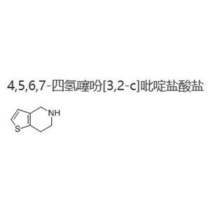四氢噻吩并吡啶盐酸盐,4,5,6,7-Tetrahydrothieno[3,2,c]pyridine hydrochloride