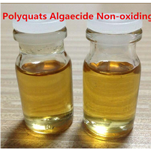 聚塞氯铵,Polixetonium Chloride
