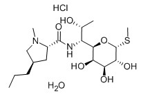 盐酸林可霉素/洁霉素/林可霉素,Lincomycin HCL