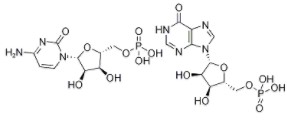 聚肌胞/聚胞苷酸/双链聚肌胞,Polyinosinic acid-polycytidylic acid