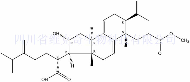 茯苓酸AM（茯苓新酸AM，茯苓酸A-3-甲酯）,Poricoic acid AM