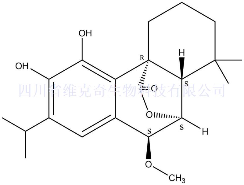 7alpha-甲氧基迷迭香酚,7α-Methoxyrosmanol