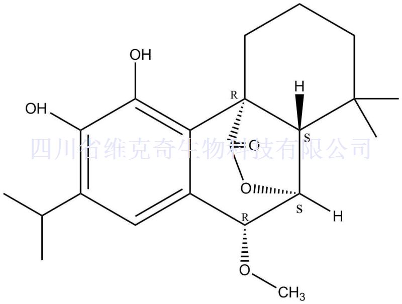 7beta-甲氧基迷迭香酚,7beta-Methoxyrosmanol