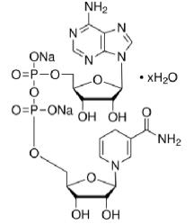 烟酰胺腺嘌呤二核苷酸（还原型）,beta-Nicotinamide adenine dinucleotide, disodium sal