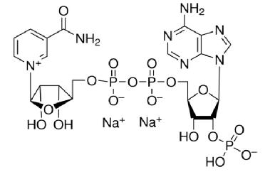 烟酰胺腺嘌呤二核苷酸磷酸二钠盐（氧化型）,Triphosphopyridine nucleotide disodium salt