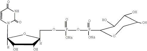 尿苷二磷酸木糖,UDP-xylose