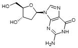 2'-脱氧鸟苷一水合物,2'-deoxyguanosine