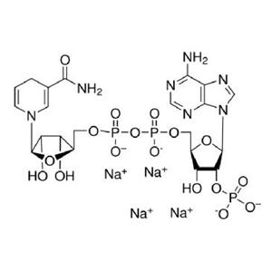 烟酰胺腺嘌呤二核苷酸磷酸（还原型）