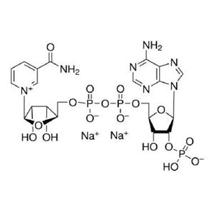 烟酰胺腺嘌呤二核苷酸磷酸二钠盐（氧化型）