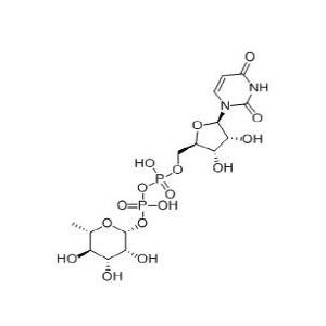 尿苷二磷酸鼠李糖