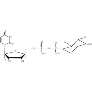 尿苷二磷酸木糖,UDP-xylose