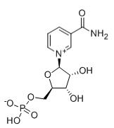 烟酰胺单核苷酸,beta-Nicotinamide Mononucleotide