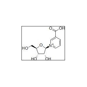 烟酸核糖,Nicotinic Acid Riboside