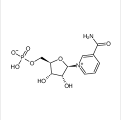 β-烟酰胺单核苷酸单硝酸异烟酸酯,NMN