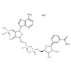 β-烟酰胺腺嘌呤二核苷酸磷酸,NADP