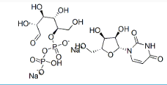 尿苷-5'一二磷酸二钠,UDP-Na2