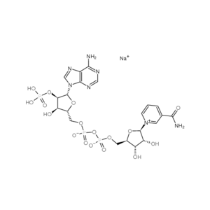 β-烟酰胺腺嘌呤二核苷酸磷酸,NADP