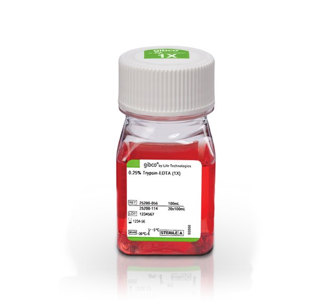 胰蛋白酶-EDTA消化液(0.25%)含酚紅|胰,Trypsin-EDTA (0.25%), phenol red