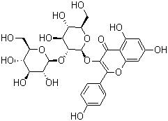 山奈酚-3-O-β-D-槐糖苷；山奈酚-3-O-槐糖苷,Kaempferol-3-O-beta-D-sophoroside