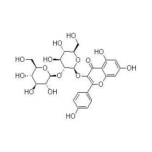 山奈酚-3-O-β-D-槐糖苷；山奈酚-3-O-槐糖苷