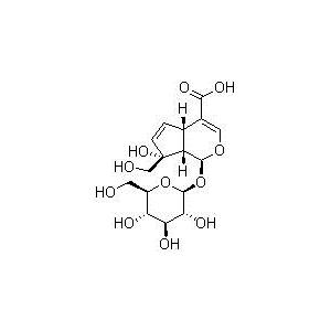 水晶兰苷,Monotropein