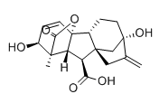 赤霉素；赤霉酸,Gibberellic acid