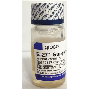 B27添加剂(黄颜色,不含维生素A),B-27 Supplement 12587010