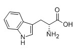 D-色氨酸,D-Tryptophan