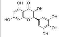 二氢杨梅素,Dihydromyricetin