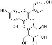 紫云英苷；山柰酚-3-葡萄糖苷；黄芪苷,Astragalin