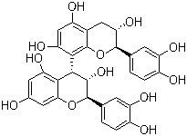 原花青素B1,(+)-Procyanidin B1