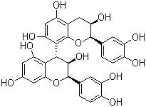 原花青素B2,(+)-Procyanidin B2