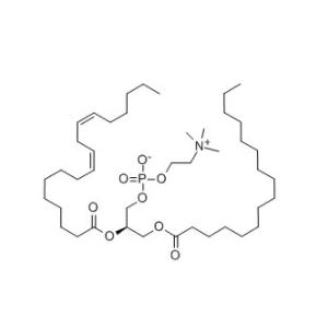 多烯磷脂酰胆碱,Soybean Lecithin