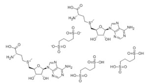1,4-丁二磺酸-S-腺苷蛋氨酸；丁二磺酸腺苷蛋氨酸,Ademetionine 1,4-butanedisulfonate