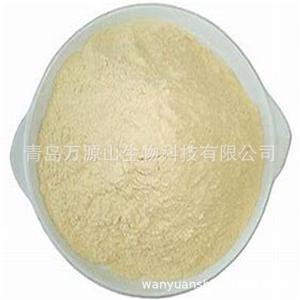 白芸豆提取物,White Kidney Bean Extract